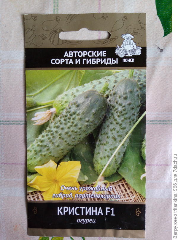 Поиск. Очень сочный и ароматный. Проклюнулся на третий день