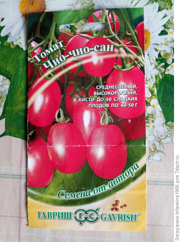 Вкуснючий любимчик. Семян в пачке много. В 2017 и 2018 вошли поздно, но потом догнали остальные томатики . В 2019 сеяла два раза. Со скрипом вырос один куст, семена собрать не сумела - все плоды съели с куста. В этом году не всходят, "створаживаются"