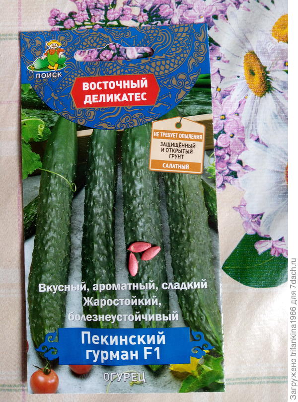 Покупаю второй раз такие семена. Агрофирма та же. В первый раз всё росло, как на дрожжах. Эти хорошо вошли в 2018, в 2019 и 2020 нет ни одного ростка .