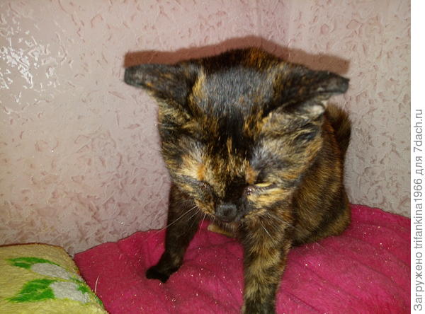 Скромная и сурьезная девушка, при виде фотоаппарата всегда старается сбежать