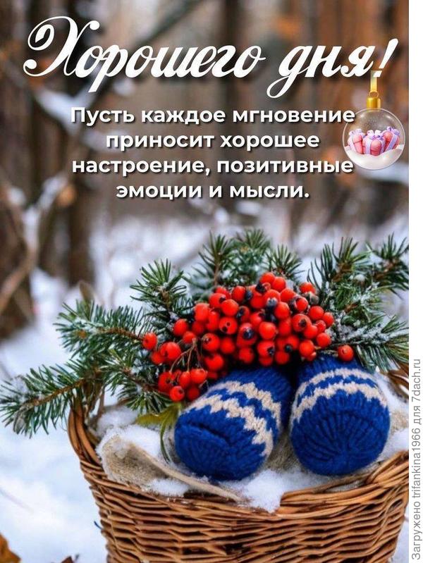 С новым годом! Желаю всем в наступившем году мирного неба на всей земле, крепчайшего здоровья всем семидачникам и их близким,  теплого солнца и ласкового дождика, нежного ветерка и комфортной температуры.  Пусть будет время для отдыха и работы, для общения и хобби.  Пусть все любимые растюшки радуют глаза и душу.  Пусть новый год работает для нас по принципу: 2 балла вредителям и болезням растений, 0 балов бедам, горестям и страданиям, 2 балла огорчениям и неприятностям, 5 баллов любви, миру и успеху во всех начинаниях.