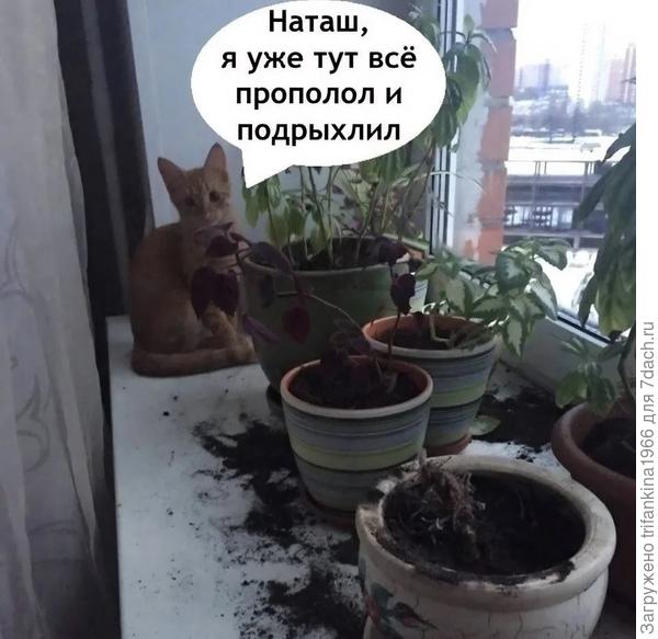 Любимый помощник 😁😱