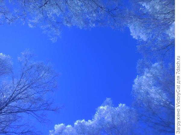 Наше Зимнее чистое небо (порадовать глаз прошлыми фото, а то нынче пасмурно :( )
