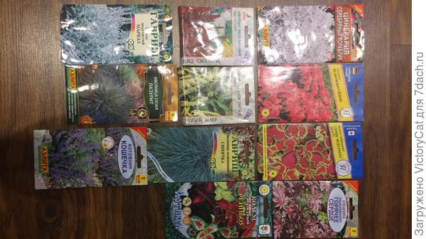 Красиволистные