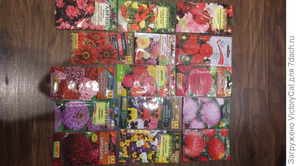 Красивоцветущие