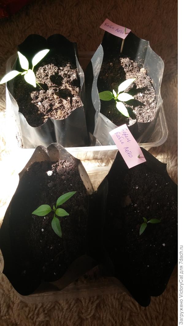 Теперь у каждого отдельная жил.площадь)