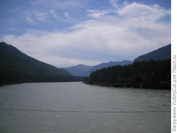 Катунь