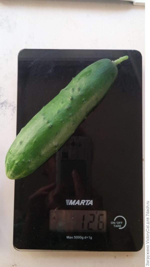 на весах