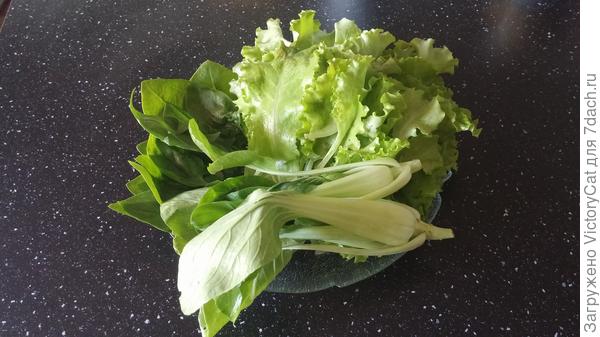 Ещё фото. Совместно со шпинатом и китайской капустой.