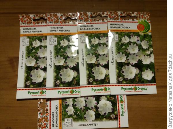 "Божьи коровки" ждут весны