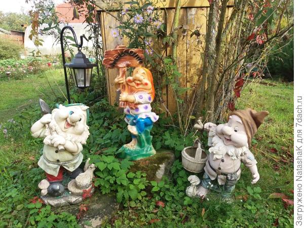 Молодой и старички