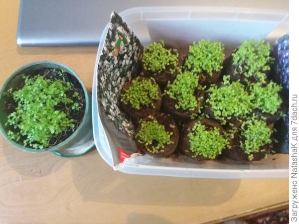 А в земле все