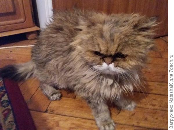 Капризуля наша