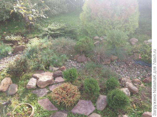 Маленькие черенкованные