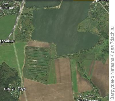 А это наши дачи (СНТ Труд) и в 15 мин ходьбы начинаются озера