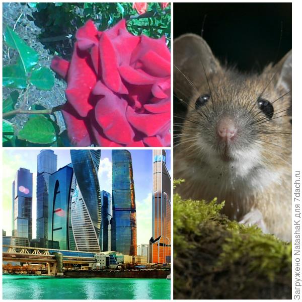 Ничего, еще пара неделек и переедем