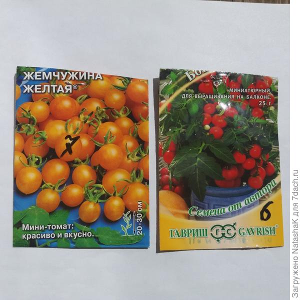 Мини помидоры "Бонсай" и "Жемчужина желтая"