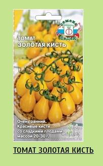 На сайте &quot;Седек&quot; нашла