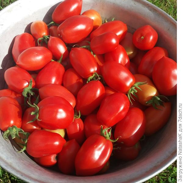 Сейчас пойдем в банки