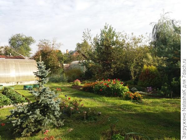 Вот они, Фигаро, в середине фотографии