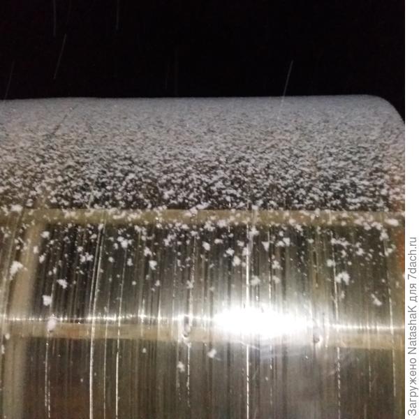 Теплица под снежком