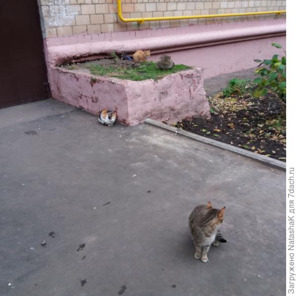 Мы добрые и хорошие...