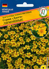 Великолепные желтый пушистый кустик дает