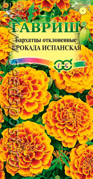 Бархатцы "Брокада испанская"