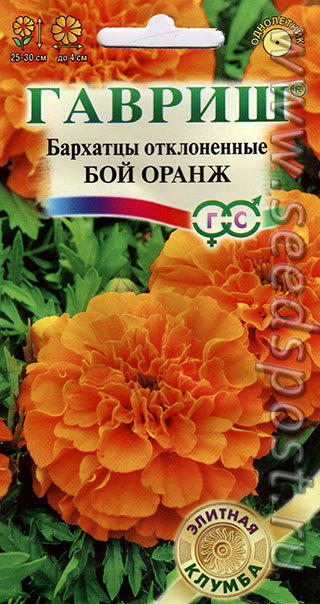 Бархатцы