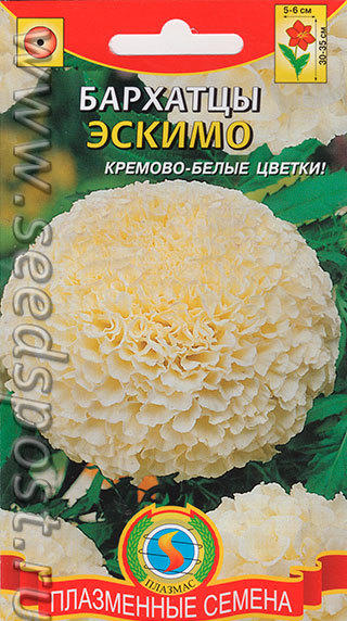 Посмотрим - никогда не пробовала