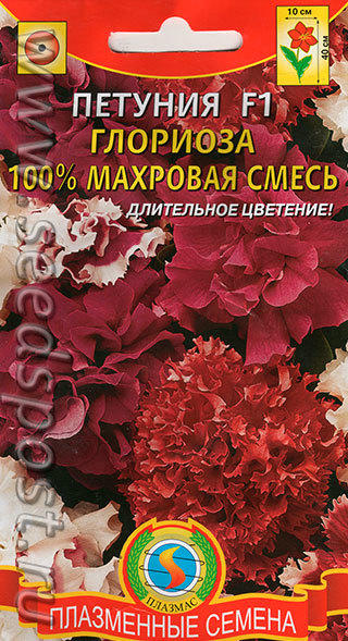 А эта смесь махровых петуний - просто загадка...