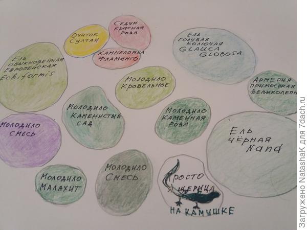 Схематичный план (ящерка живая, у меня их много на камнях греется)