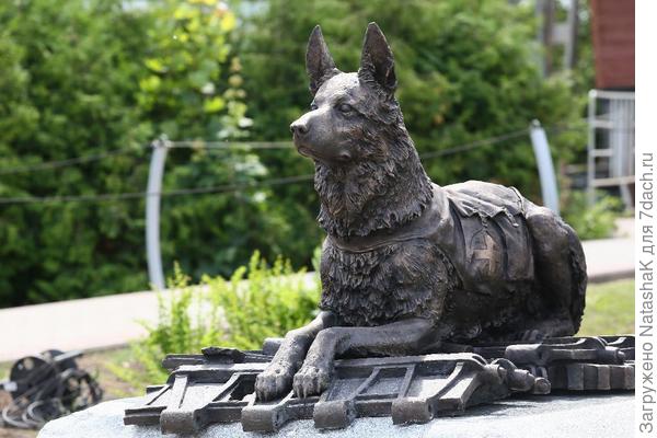 Памятник фронтовой собаке на Поклонной горе - более 60 000 собак самоотверженно служили на фронте в годы Великой Отечественной войны
