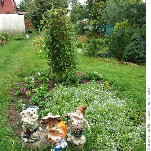 Вот она на своем месте