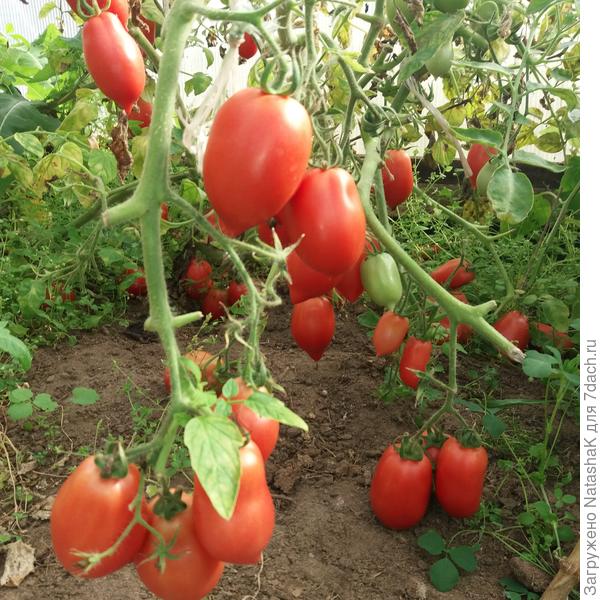 Колокола России