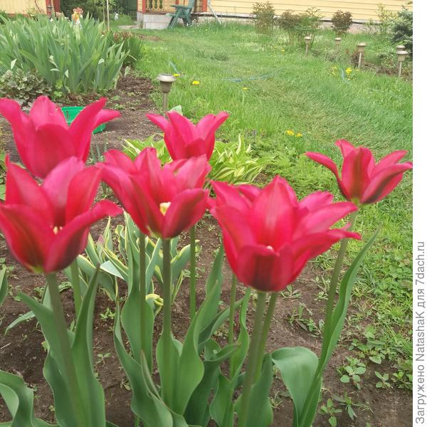 А так хочется вот такого !!!