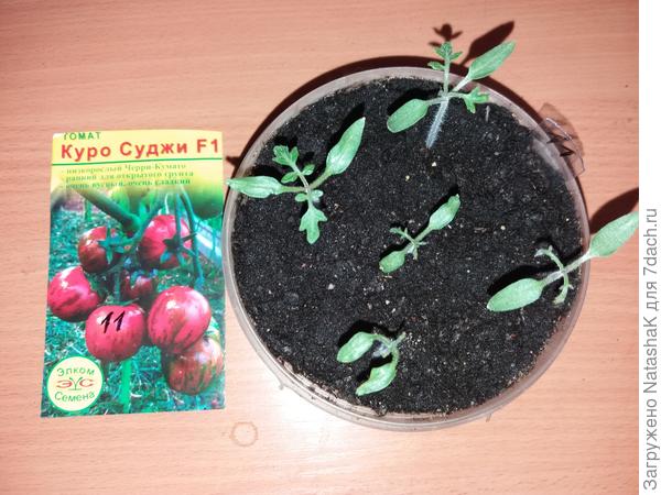 Название даже не выговоришь....