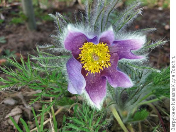 Первый мой прострельчик