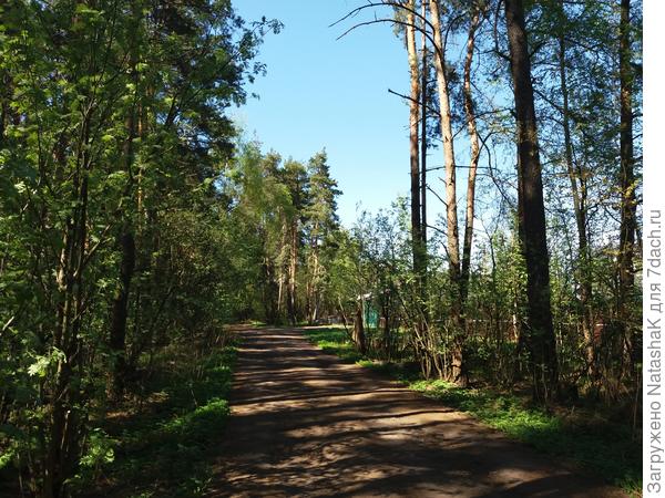 Совсем близко
