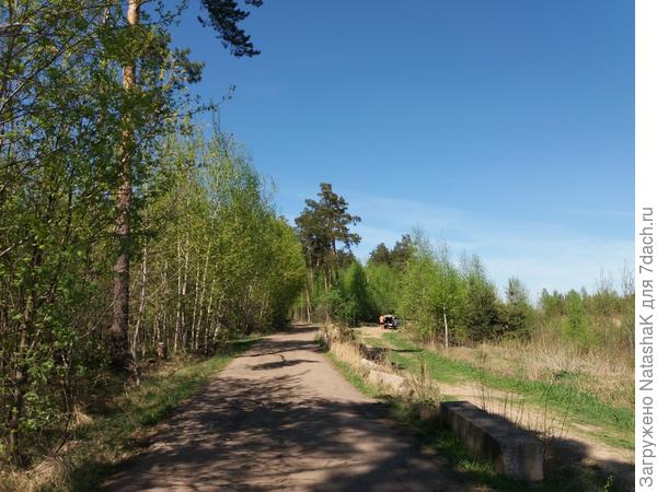 Дорога вдоль оврага