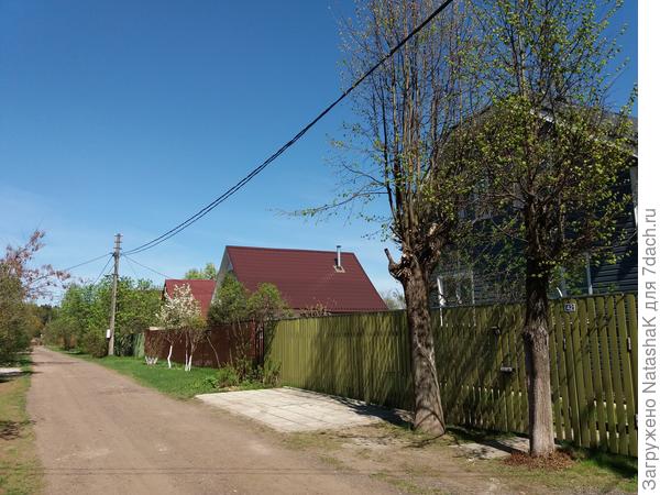 лолдодло