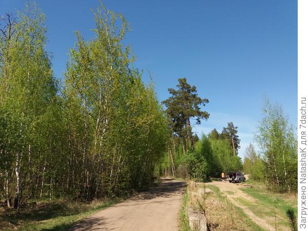 Разветвление дороги
