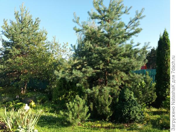 Вид из окна веранды направо