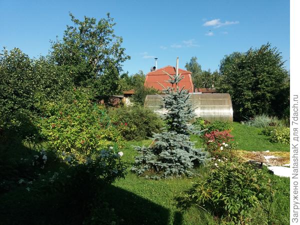 Вид из окна в реальном времени 16.00 по Москве