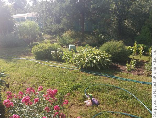 Это прям вот сейчас-сейчас сфотографировано