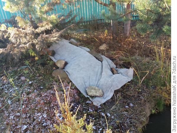 А так мы его укрыли - он уже большой на самом деле