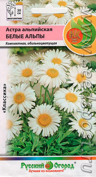 Многолетник