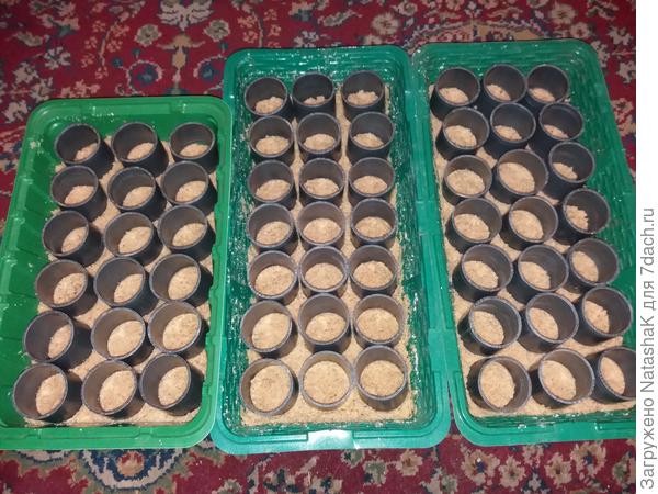 Это не все бочонки...