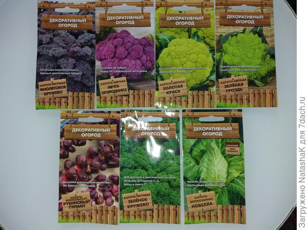 Ассортимент замечательной капусты из серии "Декоративный огород" - буду учиться выращивать, красота-то какая
