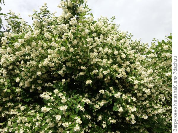 Напротив нас...